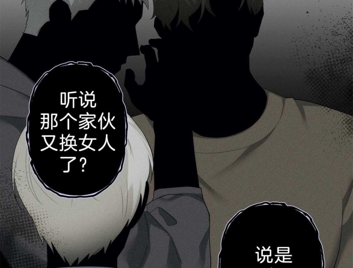 《亲爱的撒盐吧》漫画最新章节第14话免费下拉式在线观看章节第【11】张图片