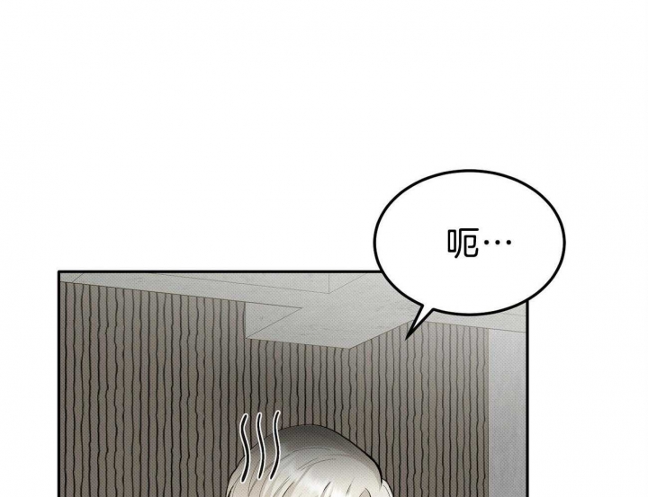 《亲爱的撒盐吧》漫画最新章节第1话免费下拉式在线观看章节第【47】张图片