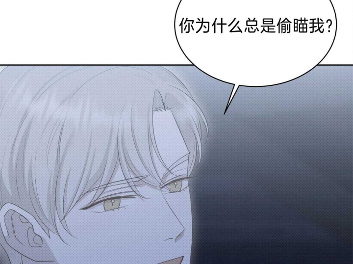 《亲爱的撒盐吧》漫画最新章节第47话免费下拉式在线观看章节第【42】张图片