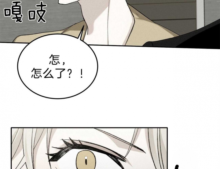 《亲爱的撒盐吧》漫画最新章节第2话免费下拉式在线观看章节第【4】张图片