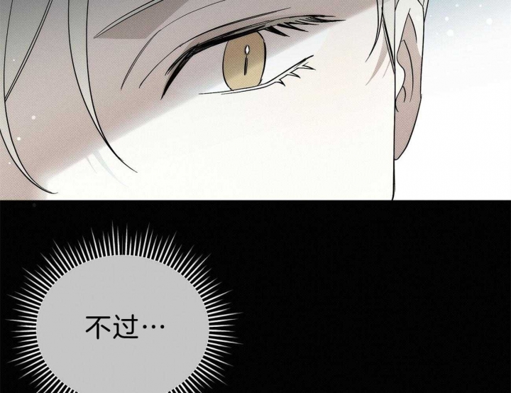 《亲爱的撒盐吧》漫画最新章节第9话免费下拉式在线观看章节第【45】张图片