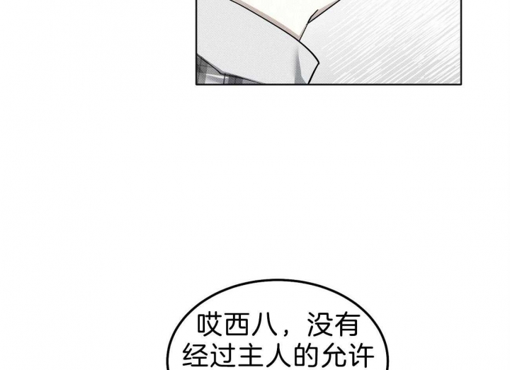 《亲爱的撒盐吧》漫画最新章节第9话免费下拉式在线观看章节第【60】张图片