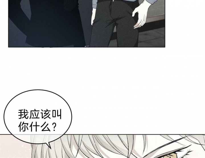 《亲爱的撒盐吧》漫画最新章节第13话免费下拉式在线观看章节第【50】张图片