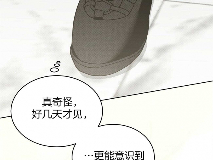 《亲爱的撒盐吧》漫画最新章节第44话免费下拉式在线观看章节第【9】张图片