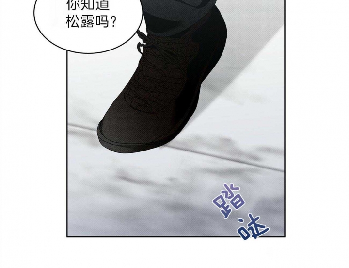 《亲爱的撒盐吧》漫画最新章节第41话免费下拉式在线观看章节第【56】张图片