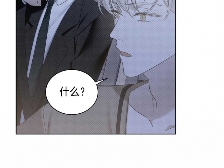 《亲爱的撒盐吧》漫画最新章节第47话免费下拉式在线观看章节第【48】张图片