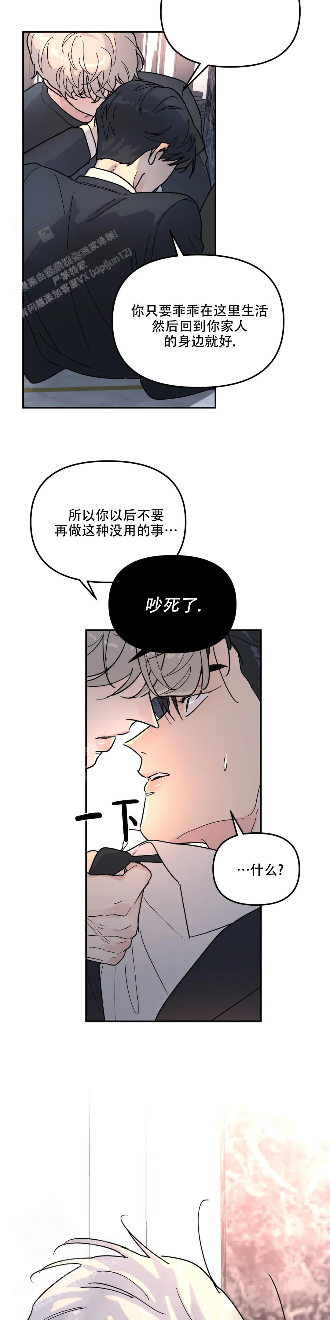 《无根之树》漫画最新章节第13话免费下拉式在线观看章节第【7】张图片