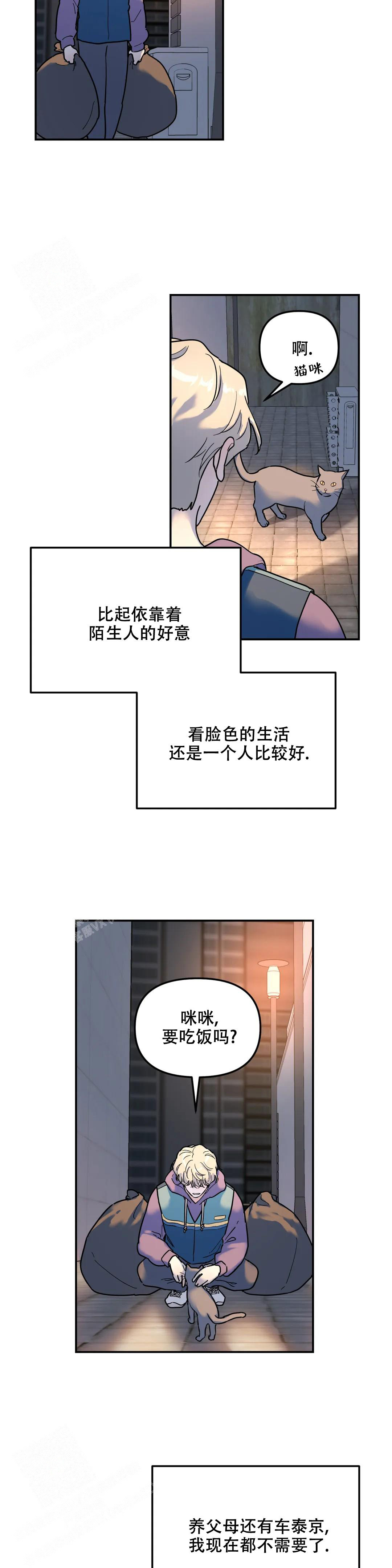 《无根之树》漫画最新章节第16话免费下拉式在线观看章节第【10】张图片