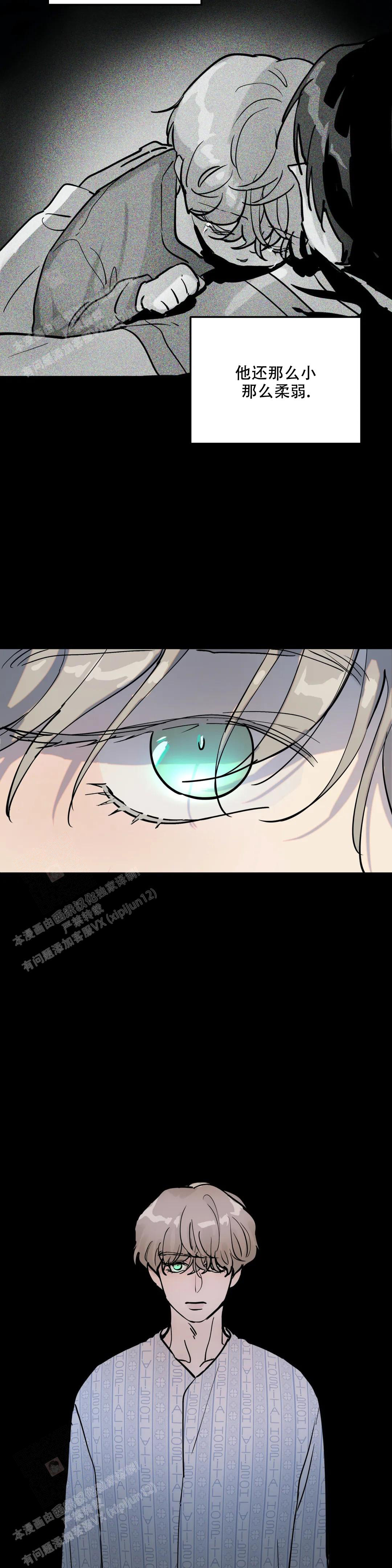 《无根之树》漫画最新章节第5话免费下拉式在线观看章节第【5】张图片