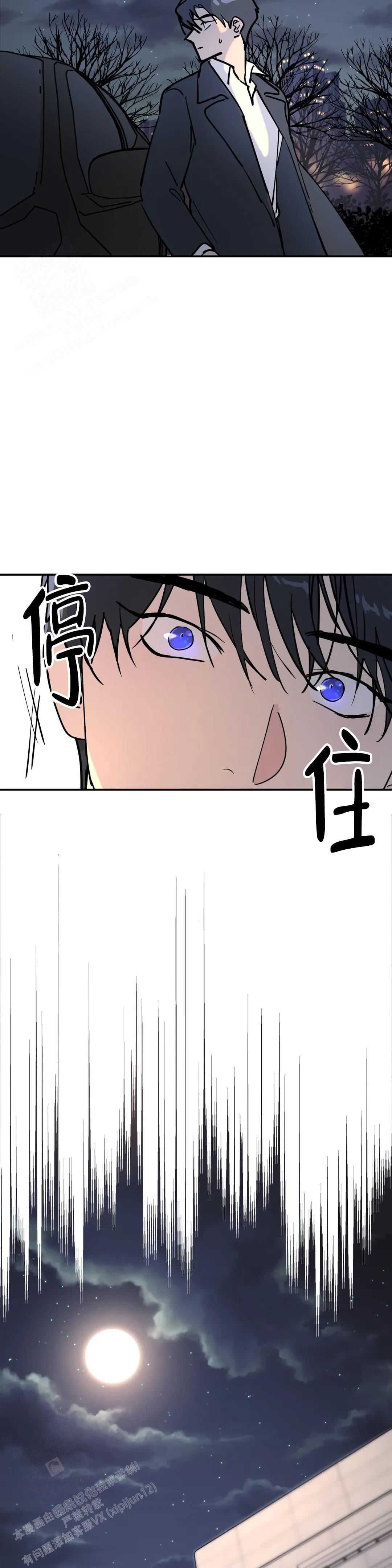 《无根之树》漫画最新章节第5话免费下拉式在线观看章节第【9】张图片