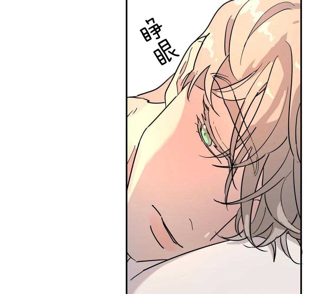 《无根之树》漫画最新章节第37话免费下拉式在线观看章节第【31】张图片