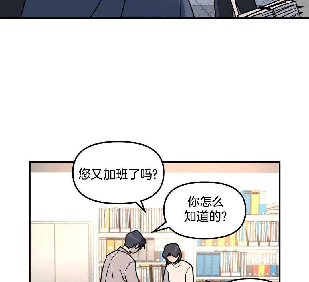 《无根之树》漫画最新章节第40话免费下拉式在线观看章节第【19】张图片