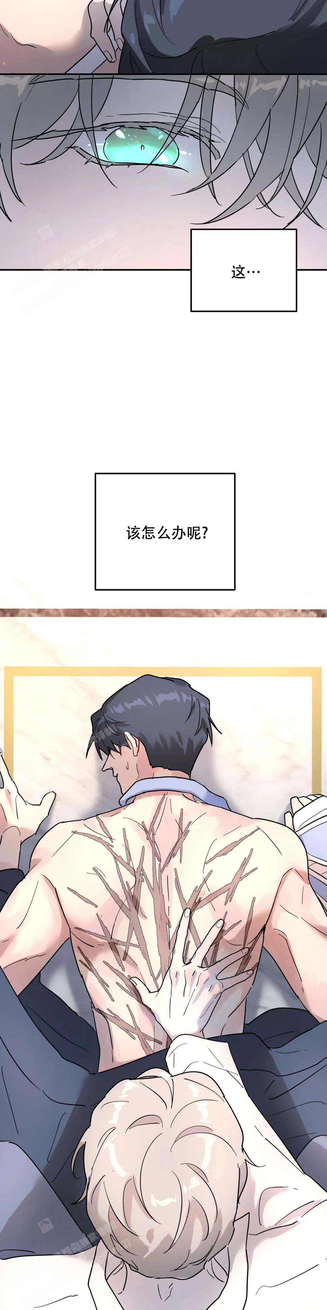 《无根之树》漫画最新章节第25话免费下拉式在线观看章节第【7】张图片