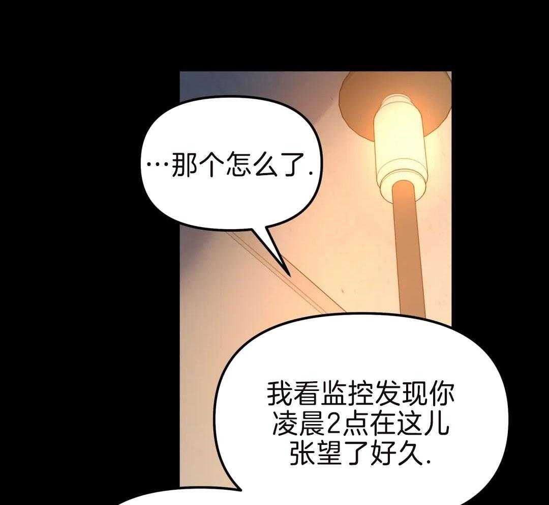 《无根之树》漫画最新章节第19话免费下拉式在线观看章节第【12】张图片