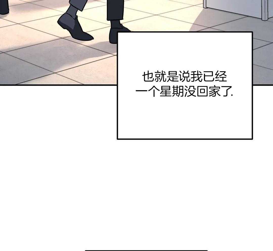 《无根之树》漫画最新章节第39话免费下拉式在线观看章节第【79】张图片