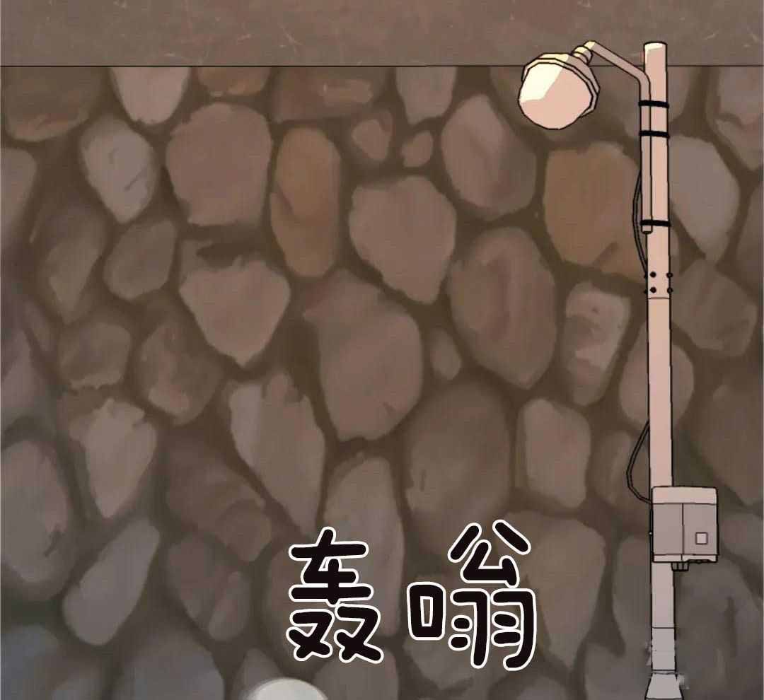 《无根之树》漫画最新章节第18话免费下拉式在线观看章节第【12】张图片