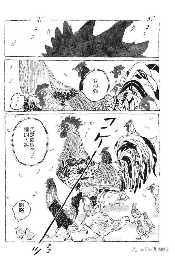 《一只鸡的一生》漫画最新章节第1话免费下拉式在线观看章节第【17】张图片