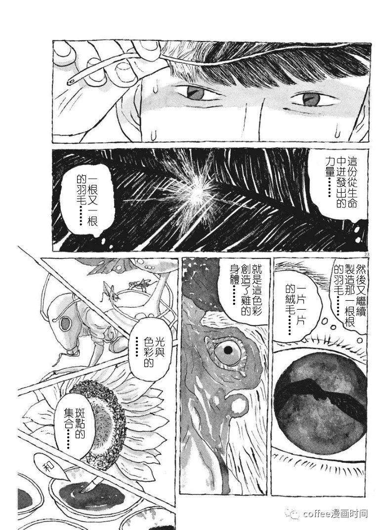 《一只鸡的一生》漫画最新章节第1话免费下拉式在线观看章节第【24】张图片