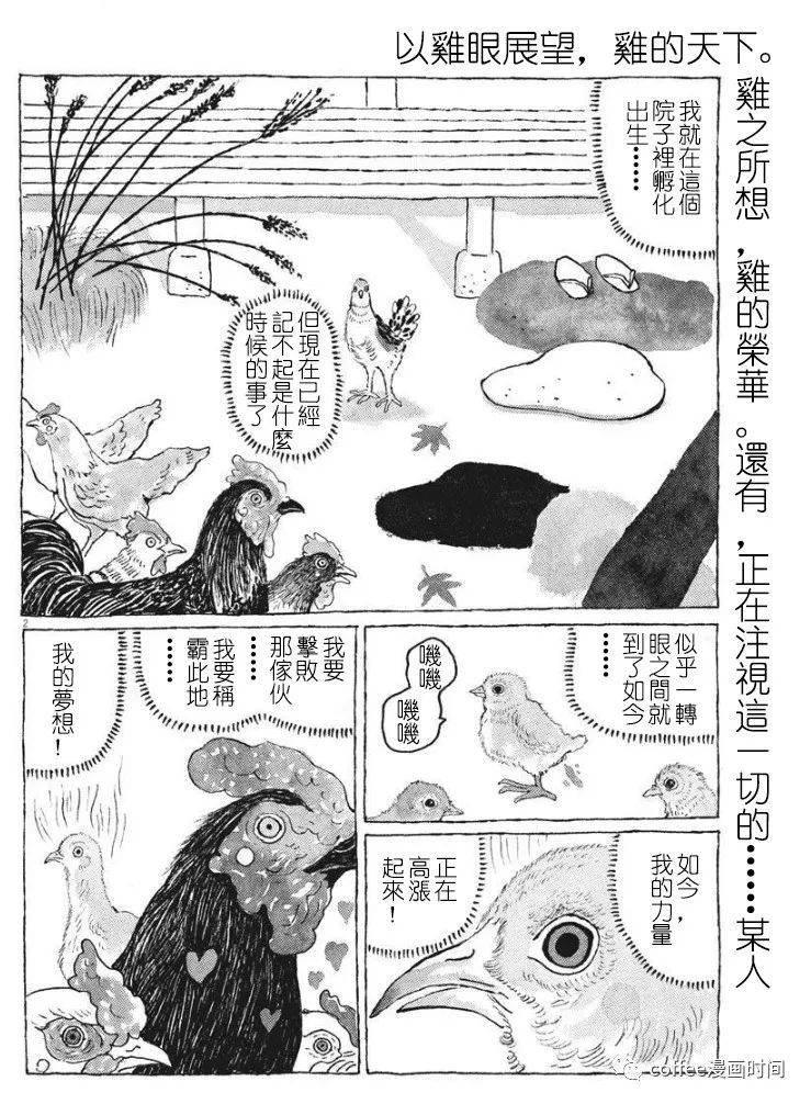 《一只鸡的一生》漫画最新章节第1话免费下拉式在线观看章节第【3】张图片