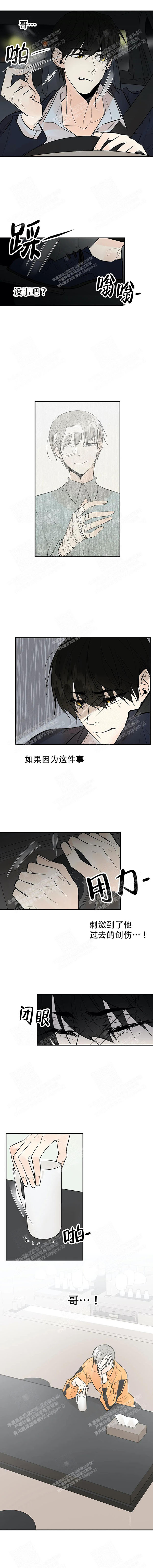 《避风港》漫画最新章节第37话免费下拉式在线观看章节第【3】张图片