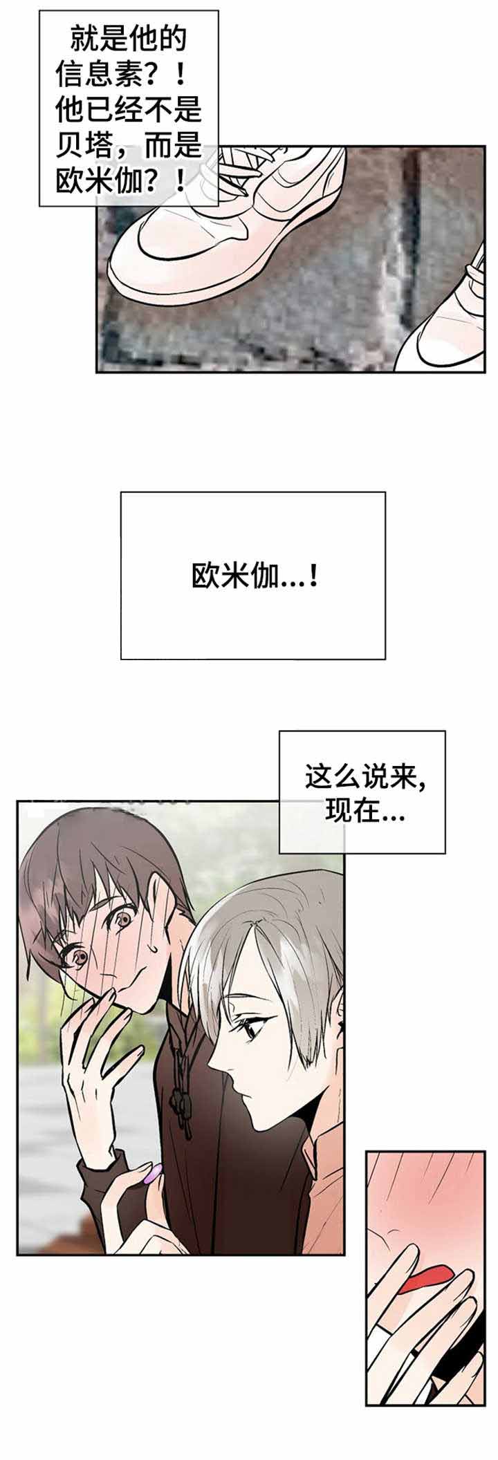 《避风港》漫画最新章节第21话免费下拉式在线观看章节第【10】张图片