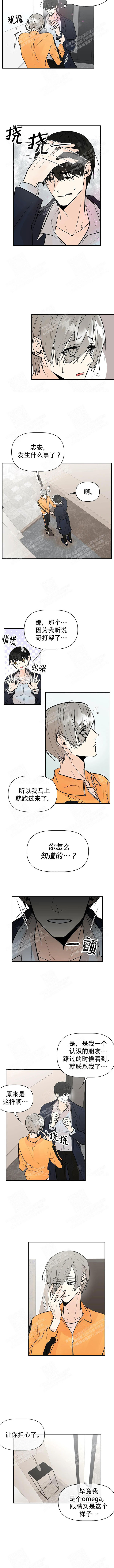 《避风港》漫画最新章节第38话免费下拉式在线观看章节第【3】张图片