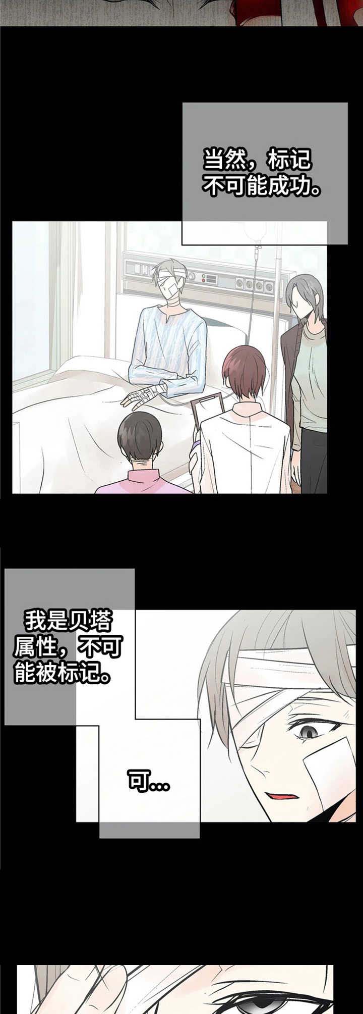 《避风港》漫画最新章节第17话免费下拉式在线观看章节第【3】张图片