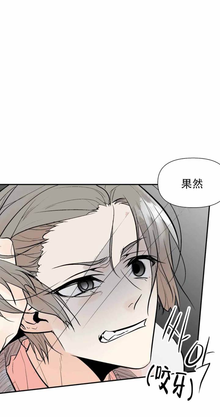 《避风港》漫画最新章节第52话免费下拉式在线观看章节第【1】张图片