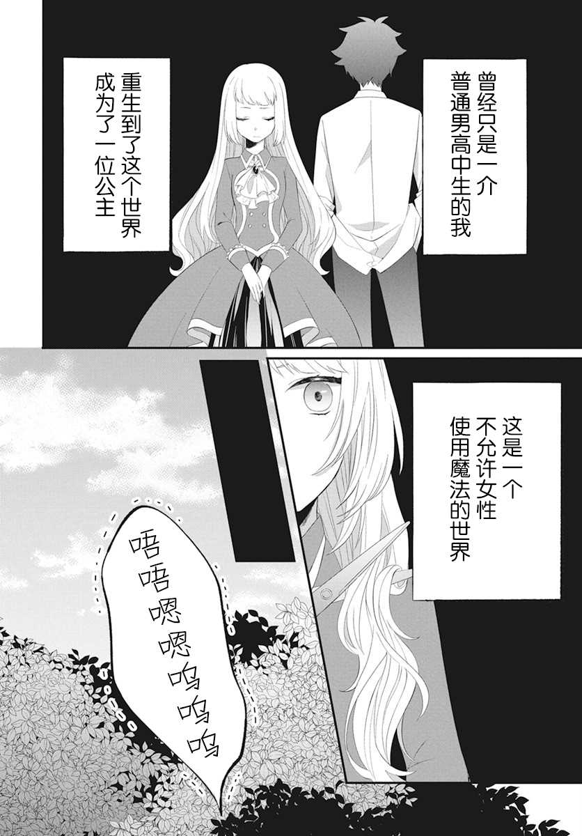 《转生后成了公主所以女扮男装努力成为最强魔法使》漫画最新章节第2话免费下拉式在线观看章节第【2】张图片