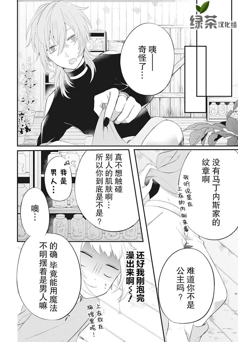 《转生后成了公主所以女扮男装努力成为最强魔法使》漫画最新章节第3话免费下拉式在线观看章节第【8】张图片