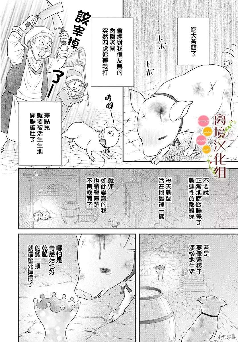 《毒菇魔女》漫画最新章节番外2免费下拉式在线观看章节第【12】张图片