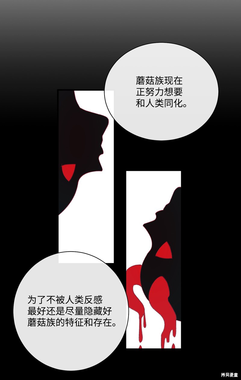 《蘑菇汤》漫画最新章节第11话免费下拉式在线观看章节第【29】张图片