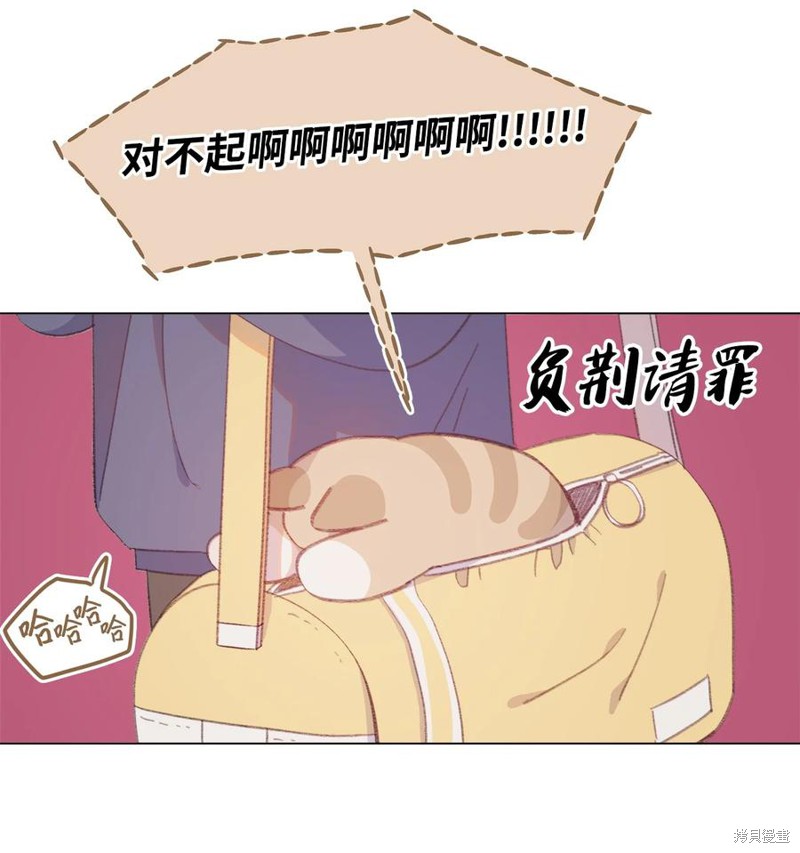 《蘑菇汤》漫画最新章节第70话免费下拉式在线观看章节第【27】张图片