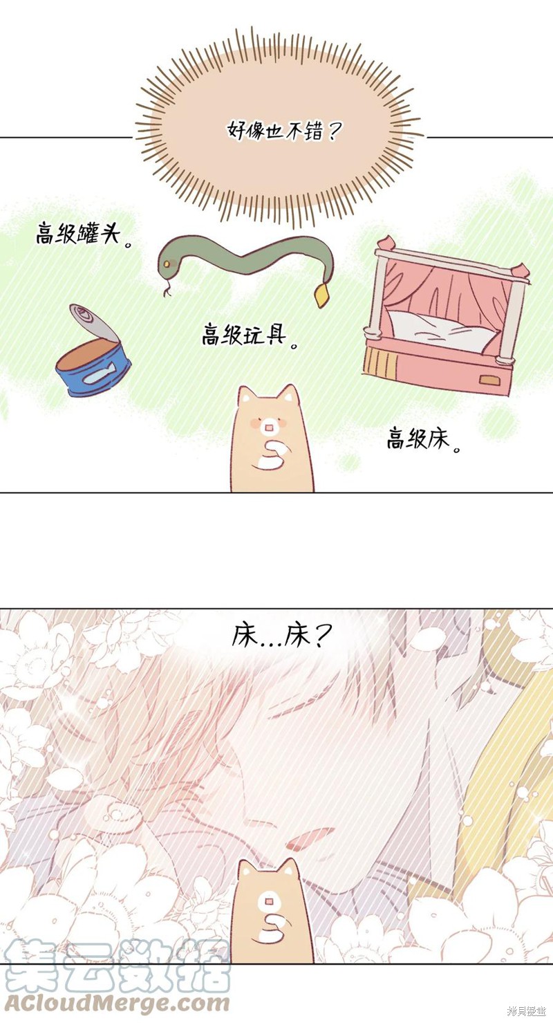 《蘑菇汤》漫画最新章节第63话免费下拉式在线观看章节第【20】张图片