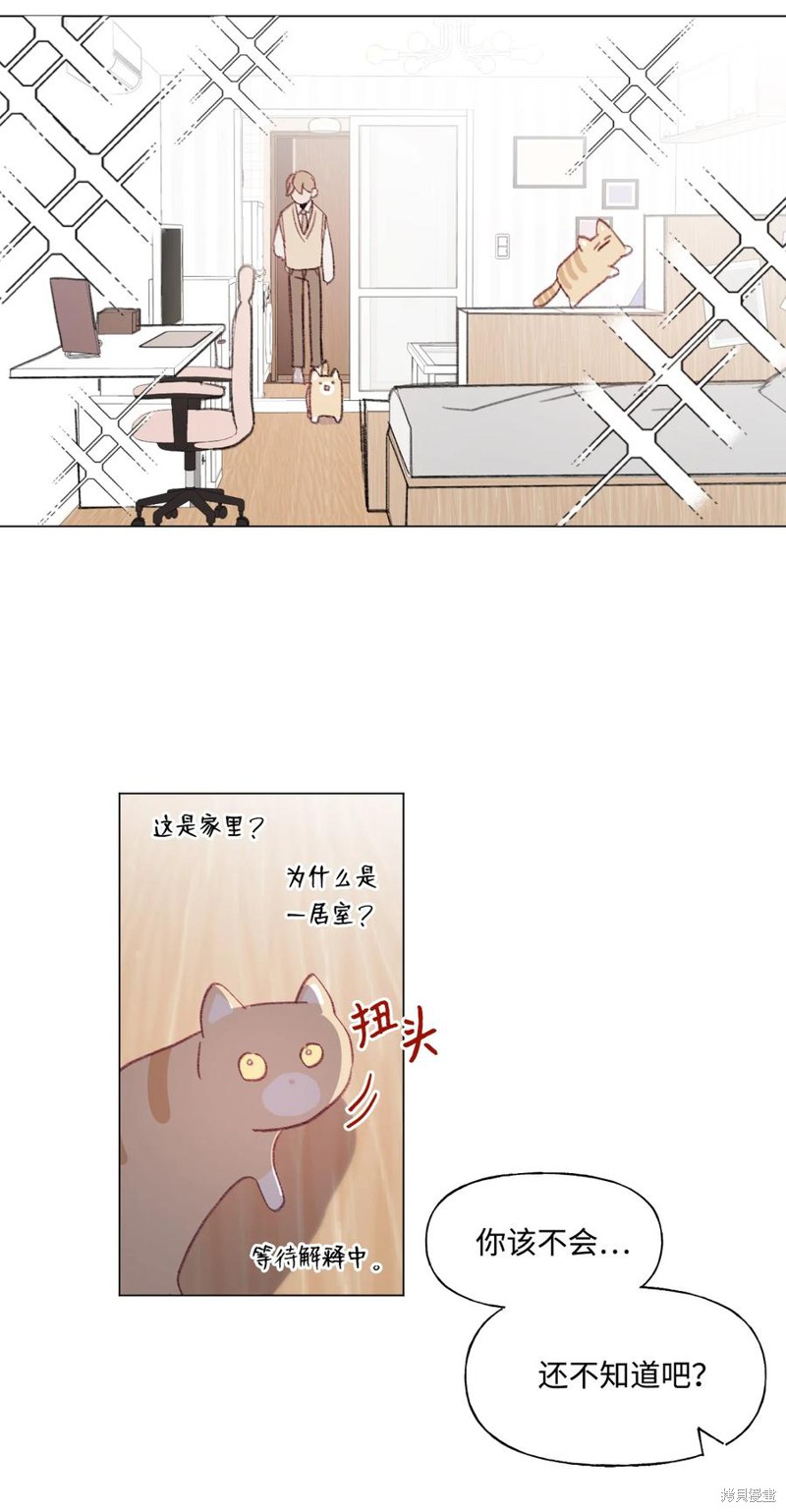 《蘑菇汤》漫画最新章节第61话免费下拉式在线观看章节第【31】张图片