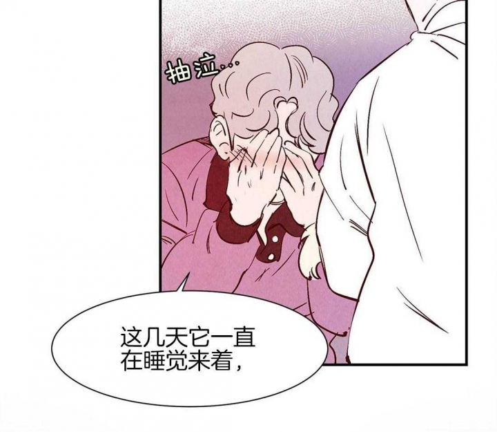 《云雨之情》漫画最新章节第40话免费下拉式在线观看章节第【5】张图片