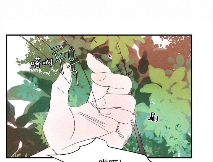 《云雨之情》漫画最新章节第71话免费下拉式在线观看章节第【22】张图片