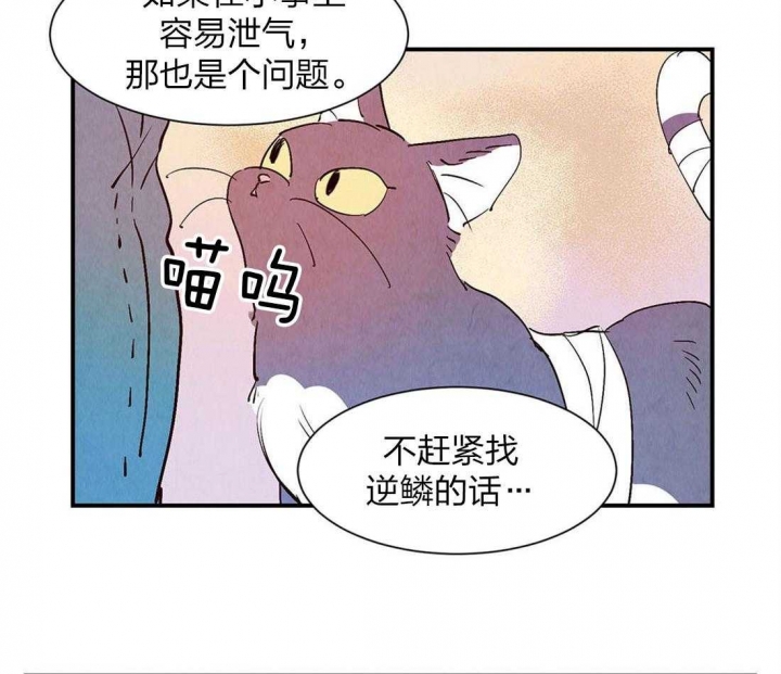 《云雨之情》漫画最新章节第54话免费下拉式在线观看章节第【23】张图片