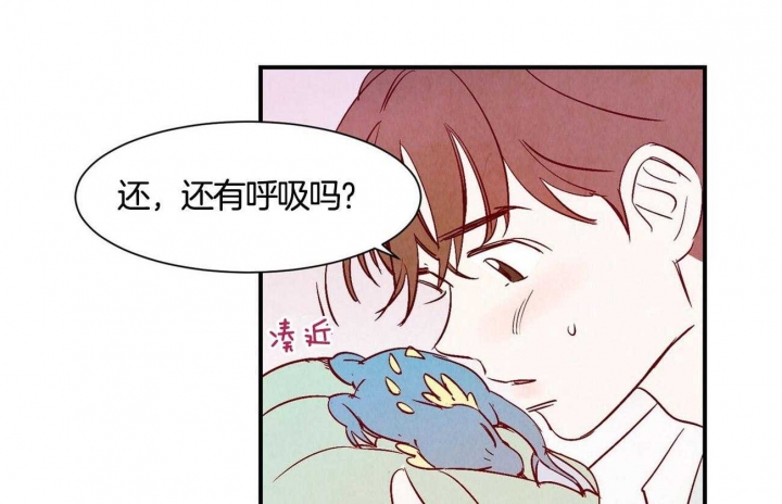 《云雨之情》漫画最新章节第1话免费下拉式在线观看章节第【27】张图片