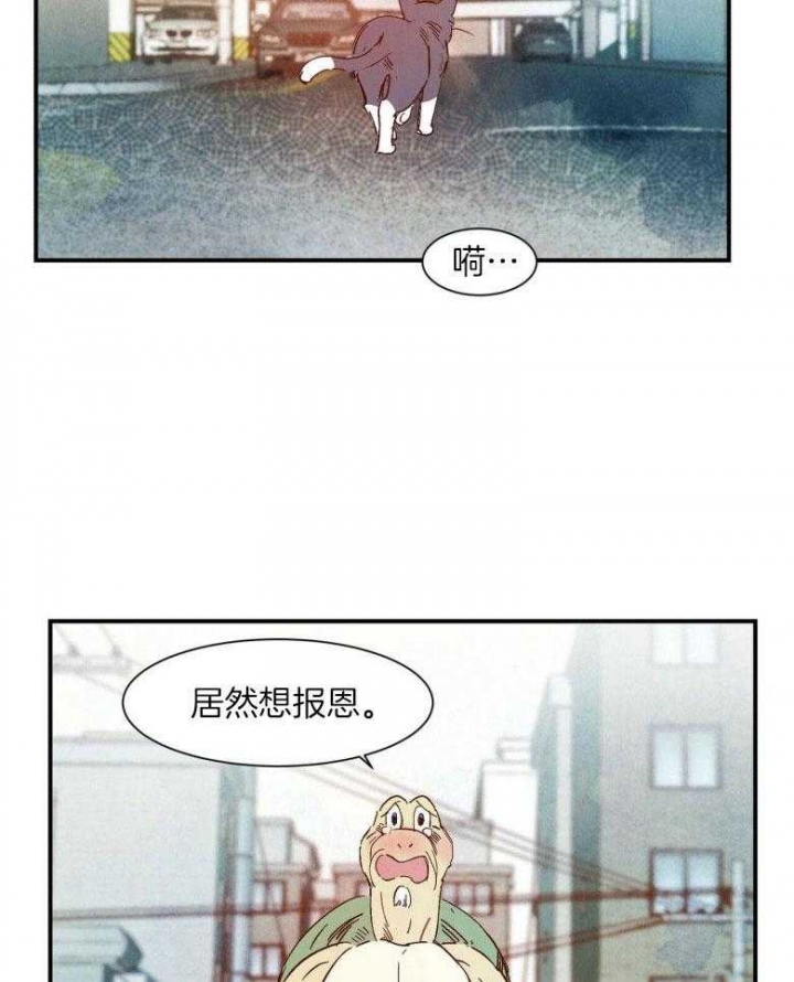 《云雨之情》漫画最新章节第79话免费下拉式在线观看章节第【6】张图片