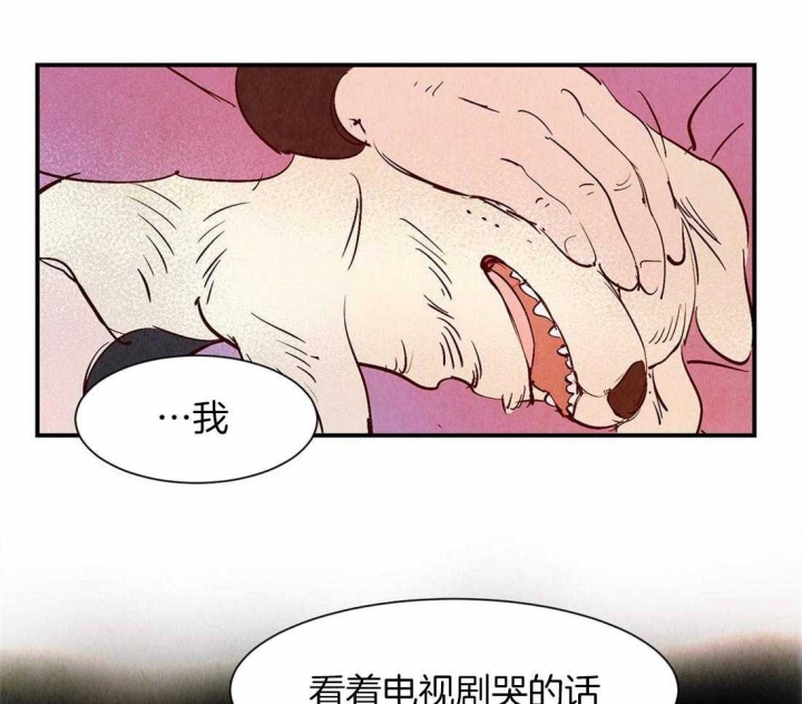 《云雨之情》漫画最新章节第42话免费下拉式在线观看章节第【9】张图片