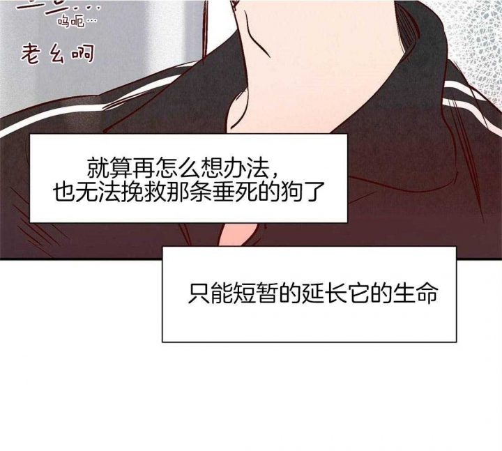 《云雨之情》漫画最新章节第41话免费下拉式在线观看章节第【12】张图片