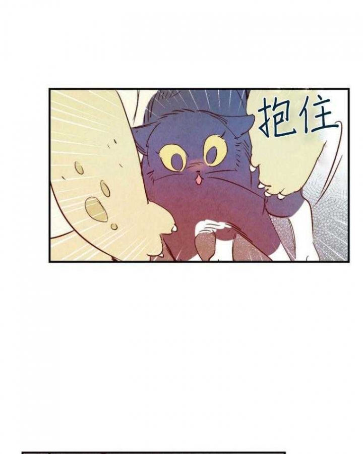 《云雨之情》漫画最新章节第77话免费下拉式在线观看章节第【2】张图片