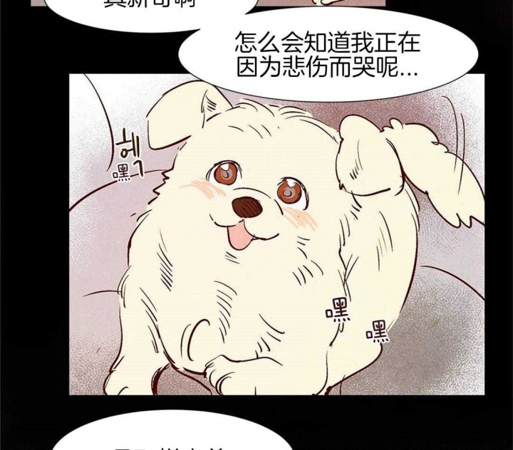 《云雨之情》漫画最新章节第42话免费下拉式在线观看章节第【13】张图片