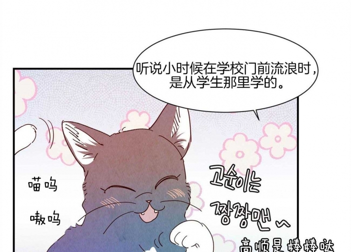 《云雨之情》漫画最新章节第70话免费下拉式在线观看章节第【5】张图片