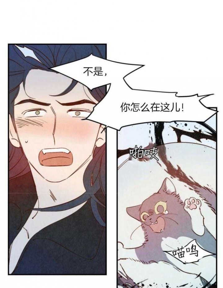 《云雨之情》漫画最新章节第80话免费下拉式在线观看章节第【6】张图片