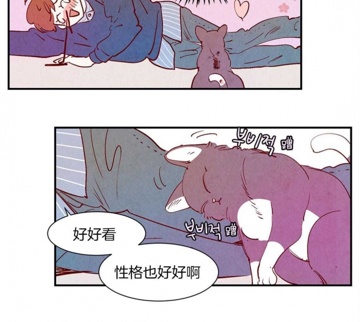 《云雨之情》漫画最新章节第50话免费下拉式在线观看章节第【15】张图片