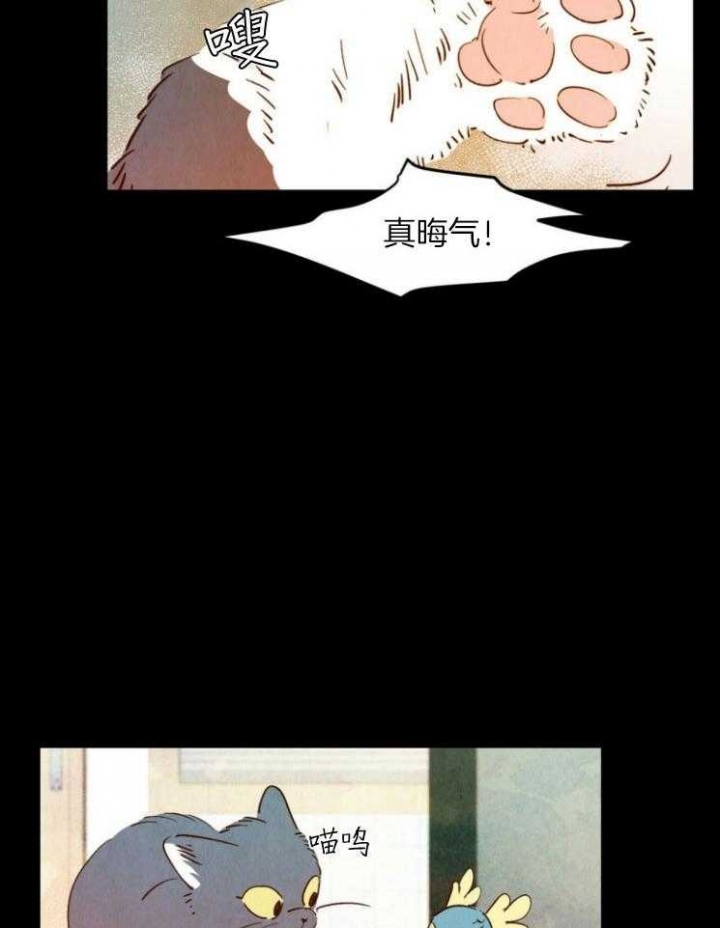 《云雨之情》漫画最新章节第79话免费下拉式在线观看章节第【18】张图片