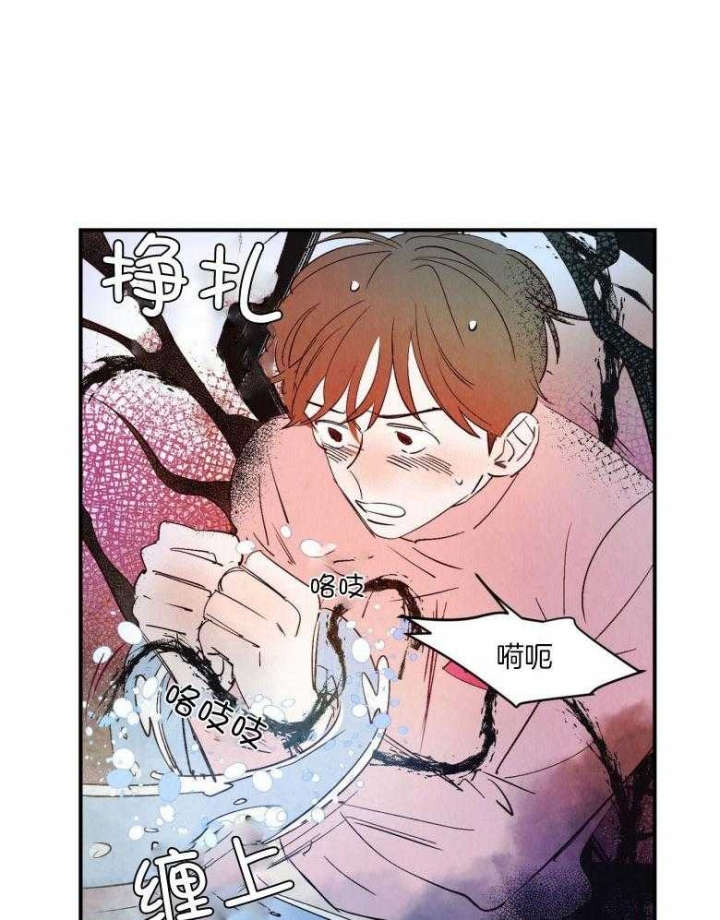 《云雨之情》漫画最新章节第82话免费下拉式在线观看章节第【3】张图片