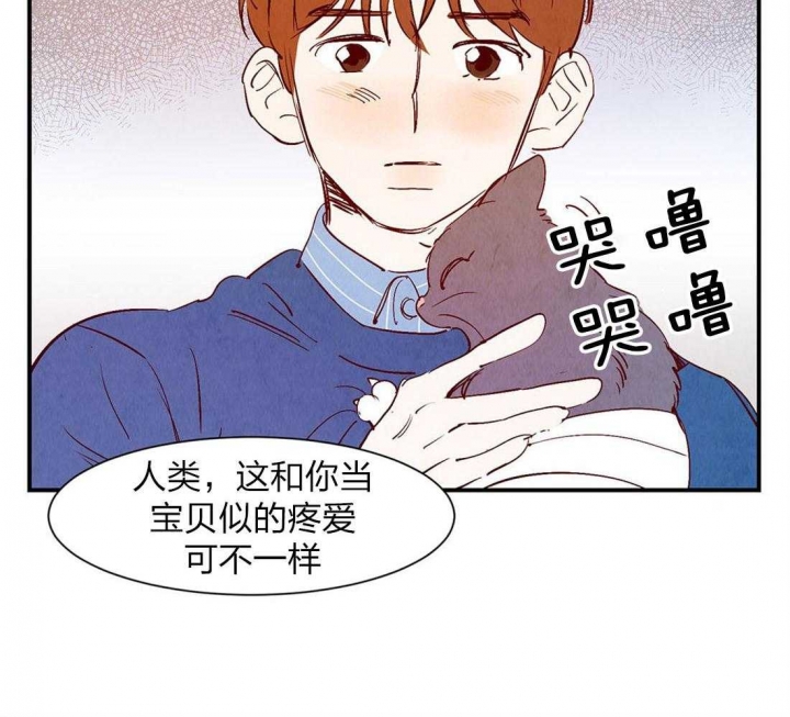 《云雨之情》漫画最新章节第51话免费下拉式在线观看章节第【31】张图片